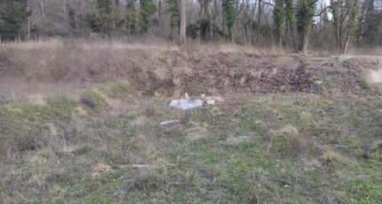 Maule Terrain à bâtir -  Les Maisons Extraco