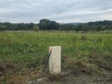 Terrain à Tourville-les-Ifs  Les Maisons Extraco