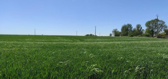 Terrain à bâtir à Étrépagny, Normandie