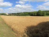 Terrain à Mézières-en-Vexin  Les Maisons Extraco
