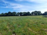 Terrain à Pont-l’Évêque  Les Maisons Extraco