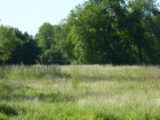 Terrain à La Haye-de-Routot  Les Maisons Extraco