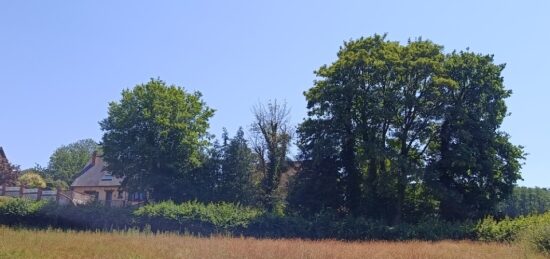 Terrain à bâtir à , Seine-Maritime