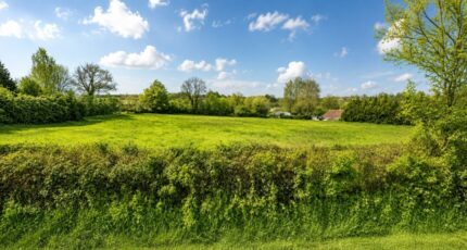 Compainville Terrain à bâtir -  Les Maisons Extraco