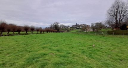 Cressy Maison neuve -  Les Maisons Extraco