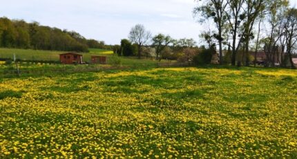 Étrépagny Terrain à bâtir -  Les Maisons Extraco