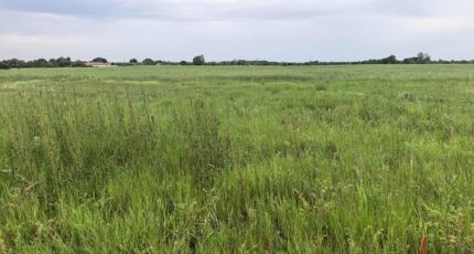 La Remuée Maison neuve -  Les Maisons Extraco