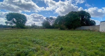 Les Ventes Maison neuve -  Les Maisons Extraco