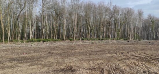 Terrain à bâtir à Saint-Étienne-du-Vauvray, Normandie