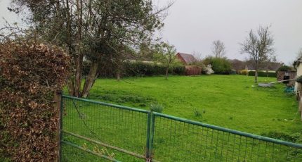 Croixdalle Maison neuve -  Les Maisons Extraco