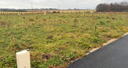 Fauville-en-Caux Maison neuve -  Les Maisons Extraco