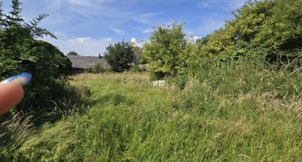 Gonfreville-Caillot Maison neuve -  Les Maisons Extraco