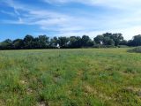 Terrain à Pont-l’Évêque  Les Maisons Extraco
