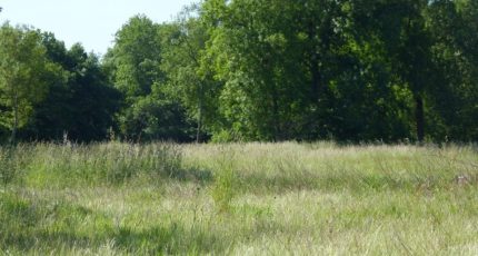 Le Bocasse Maison neuve -  Les Maisons Extraco