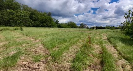 Éturqueraye Terrain à bâtir -  Les Maisons Extraco