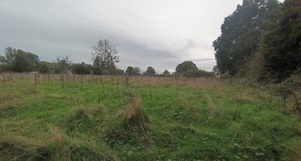 Formentin Terrain à bâtir -  Les Maisons Extraco