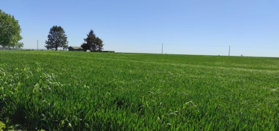 Terrain à bâtir à Sainte-Marie-de-Vatimesnil, Normandie