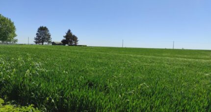 Étrépagny Terrain à bâtir -  Les Maisons Extraco