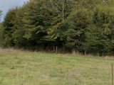 Terrain à La Haye-Aubrée  Les Maisons Extraco