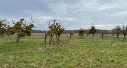 Breteuil Maison neuve - 2508579-11590annonce120260512sP5pt.jpeg Les Maisons Extraco
