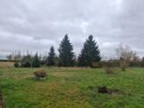 Maison à construire à Faverolles-la-Campagne (27190) 2499387-11219annonce120260428aCFft.jpeg Les Maisons Extraco