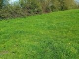 Maison à construire à Compainville (76440) 2498955-11690annonce120260502hyNcb.jpeg Les Maisons Extraco