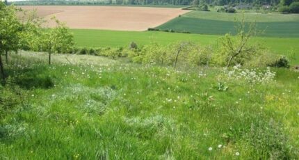 Rétonval Maison neuve - 2500775-11690annonce2202605040ppag.jpeg Les Maisons Extraco