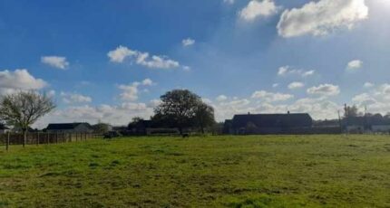 Perriers-la-Campagne Maison neuve - 2525428-11214annonce2202605277p4AW.jpeg Les Maisons Extraco