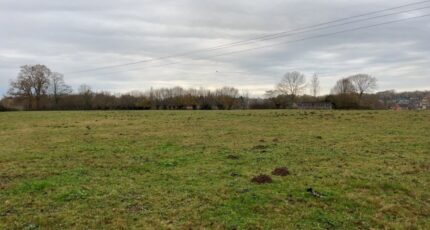Forges-les-Eaux Maison neuve - 2561518-11690annonce120260623gklZn.jpeg Les Maisons Extraco