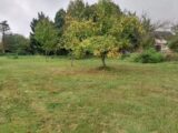 Maison à construire à Franqueville-Saint-Pierre (76520) 2562117-4102annonce120260624GCTKg.jpeg Les Maisons Extraco