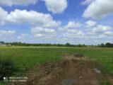 Maison à construire à Manneville-sur-Risle (27500) 2535614-11214annonce120260604aGqKu.jpeg Les Maisons Extraco
