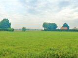 Maison à construire à Colletot (27500) 2534743-11214annonce22026060456lCp.jpeg Les Maisons Extraco