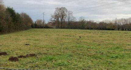 Forges-les-Eaux Maison neuve - 2570350-11690annonce120260701nLewU.jpeg Les Maisons Extraco