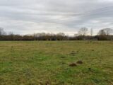 Maison à construire à Forges-les-Eaux (76440) 2570350-11690annonce220260701uGgV3.jpeg Les Maisons Extraco