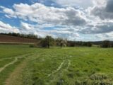 Maison à construire à Gournay-en-Bray (76220) 2570196-11690annonce1202607011TToi.jpeg Les Maisons Extraco