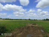 Maison à construire à Manneville-sur-Risle (27500) 2572506-11214annonce120260629Zwf9O.jpeg Les Maisons Extraco