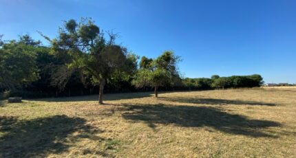 Beaubray Maison neuve - 2580769-9696annonce120260711eBnzl.jpeg Les Maisons Extraco