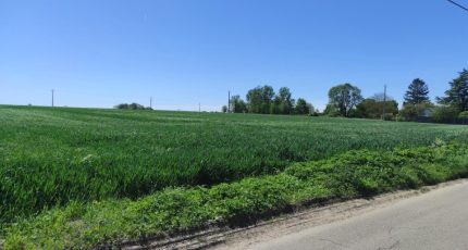 Sainte-Marie-de-Vatimesnil Terrain à bâtir - 2573243-5689annonce120260703Mr4rX.jpeg Les Maisons Extraco