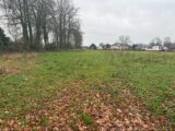 Maison à construire à Ancretiéville-Saint-Victor (76760) 2603446-11217annonce120260817cbMuN.jpeg Les Maisons Extraco