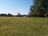Maison à construire à Douvrend (76630) 2611572-4093annonce120260831gyBEo.jpeg Les Maisons Extraco