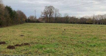 Forges-les-Eaux Terrain à bâtir - 2617426-11690annonce220260903BUcw8.jpeg Les Maisons Extraco