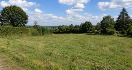Grossœuvre Terrain à bâtir - 2620495-11219annonce120260904JFIet.jpeg Les Maisons Extraco