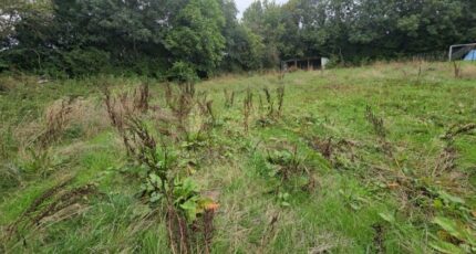 Fourmetot Maison neuve - 2626917-4101annonce1202609090ou8b.jpeg Les Maisons Extraco