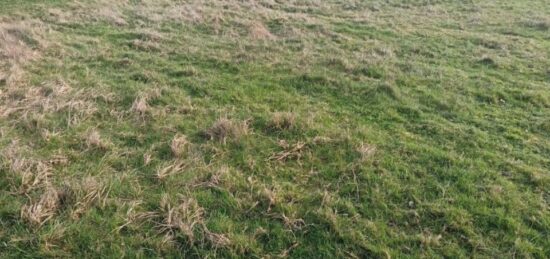Terrain à bâtir à Colletot, Normandie