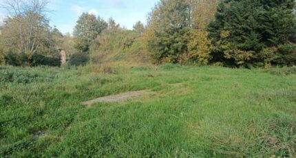 Londinières Terrain à bâtir - 2641931-11690annonce120260921TZnZT.jpeg Les Maisons Extraco