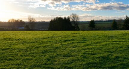 Richemont Maison neuve - 2654095-11690annonce120260929t2TXH.jpeg Les Maisons Extraco