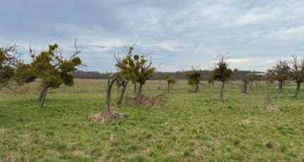 Mantes-la-Ville Maison neuve - 2680977-11590annonce120261017gpwBk.jpeg Les Maisons Extraco