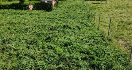 Saint-Ouen-sous-Bailly Maison neuve - 2683987-4093annonce120261020Gfm1X.jpeg Les Maisons Extraco