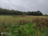 Maison à construire à Berville-sur-Mer (27210) 2688810-4101annonce120261023cMDoJ.jpeg Les Maisons Extraco